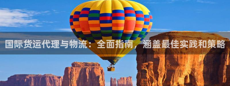 尊龙 10：国际货运代理与物流：全面指南，涵盖最佳实践和