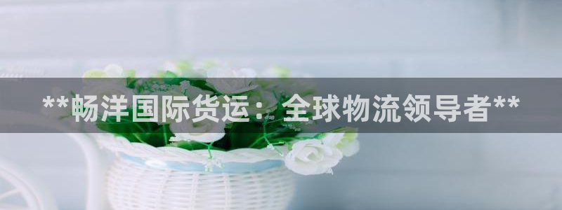 尊龙凯时人生就是博·(中国)：**畅洋国际货运：全球物流