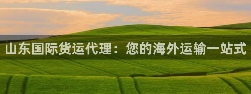 尊龙人生就是博旧版手机可靠送38元：山东国际货运代理：您