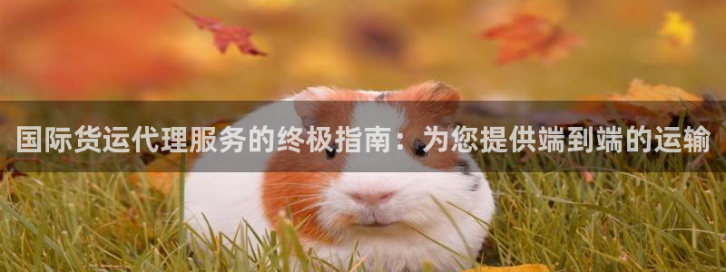 尊龙凯时平台入口：国际货运代理服务的终极指南：为您提供端