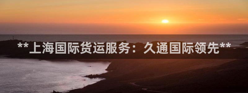 尊龙集团有限公司地址：**上海国际货运服务：久通国际领先