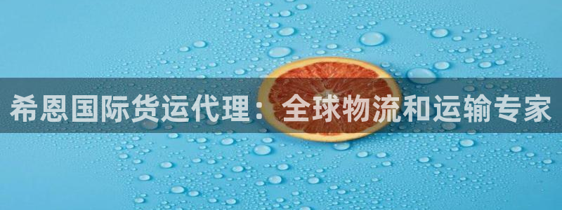 尊龙 中国：希恩国际货运代理：全球物流和运输专家