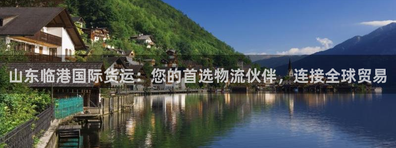 尊龙400：山东临港国际货运：您的首选物流伙伴，连接全球