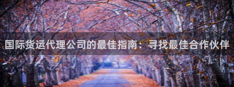 尊龙凯时v7要冲多少：国际货运代理公司的最佳指南：寻找最