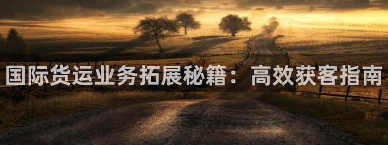 尊龙凯时人生就博：国际货运业务拓展秘籍：高效获客指南