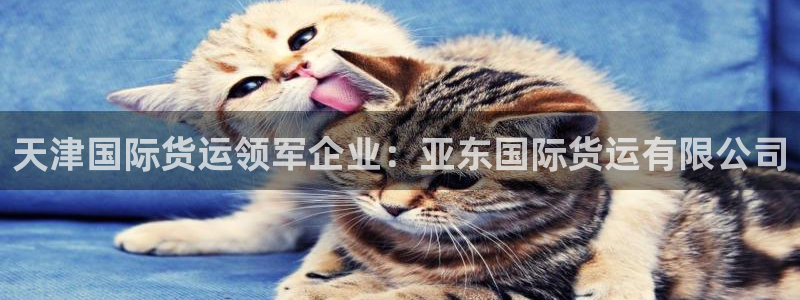 尊龙集团官网：天津国际货运领军企业：亚东国际货运有限公司