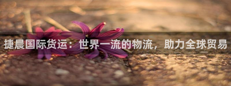 尊龙凯时提款一直审核中：捷晨国际货运：世界一流的物流，助