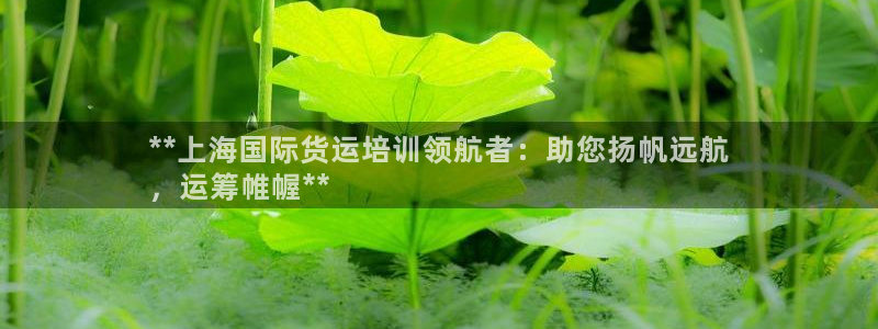 尊龙凯时电竞注册：**上海国际货运培训领航者：助您扬帆远