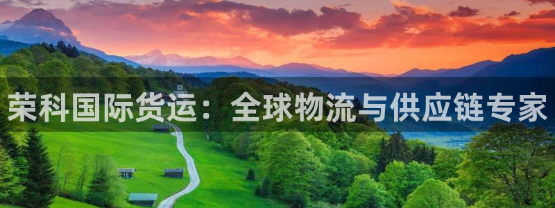 尊龙凯时 人生就是搏：荣科国际货运：全球物流与供应链专家