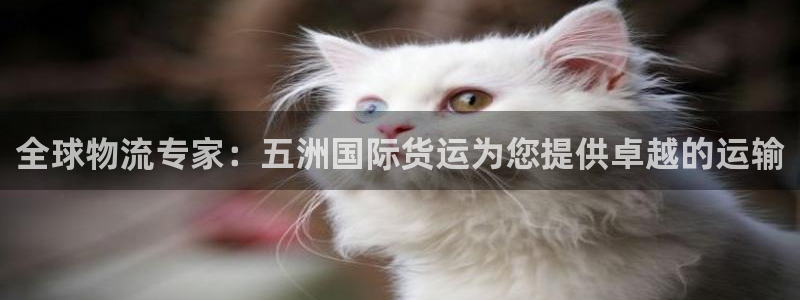 尊龙官网免费下载安卓：全球物流专家：五洲国际货运为您提供