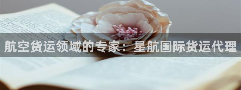 尊龙平台登录：航空货运领域的专家：星航国际货运代理