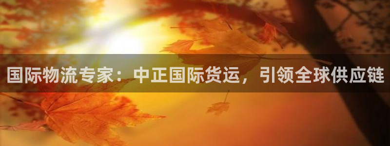 尊龙凯时官网首页：国际物流专家：中正国际货运，引领全球供