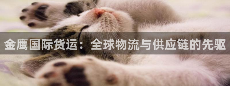 尊龙凯时人生就博官网登录：金鹰国际货运：全球物流与供应链