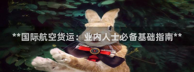 尊龙凯时防屏蔽网址：**国际航空货运：业内人士必备基础指