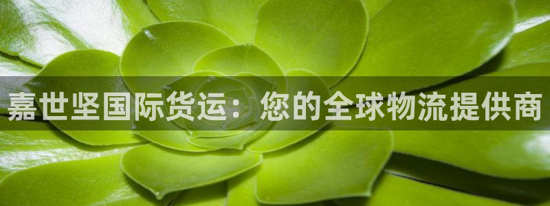 尊龙网平台：嘉世坚国际货运：您的全球物流提供商
