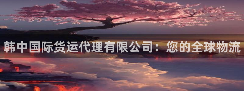 z6尊龙凯时：韩中国际货运代理有限公司：您的全球物流