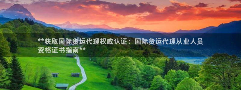 尊龙凯时官网首页：**获取国际货运代理权威认证：国际货运