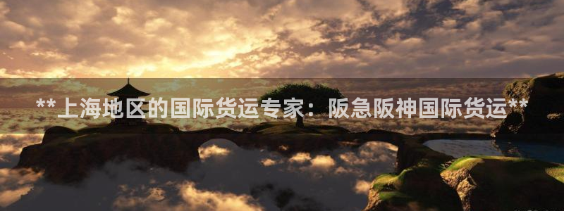 尊龙ag旗舰厅官网登录：**上海地区的国际货运专家：阪急