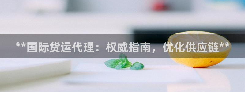 尊龙人生就是博AG旗舰厅：**国际货运代理：权威指南，优