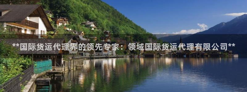 尊龙个人资料简介：**国际货运代理界的领先专家：领域国际