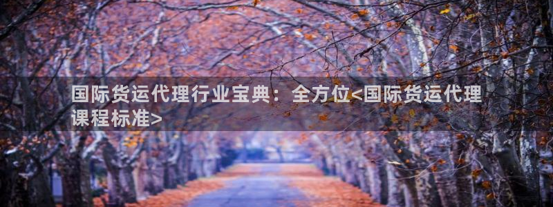 尊龙凯时ag旗舰：国际货运代理行业宝典：全方位<国际货运