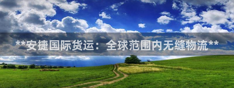 尊龙 6：**安捷国际货运：全球范围内无缝物流**