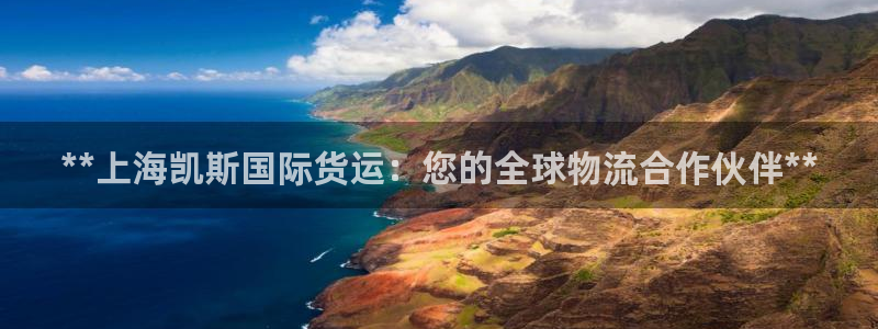 尊龙官方平台：**上海凯斯国际货运：您的全球物流合作伙伴