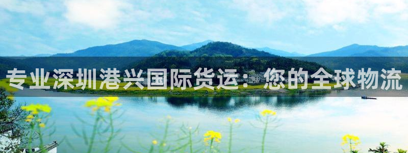 尊龙负面新闻：专业深圳港兴国际货运：您的全球物流