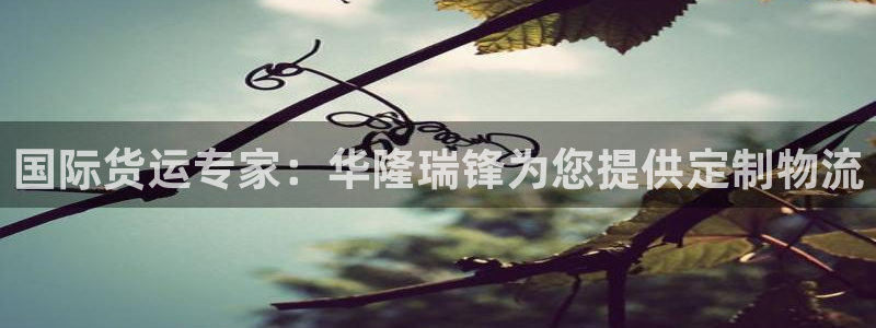 尊龙t400和尊龙t300区别：国际货运专家：华隆瑞锋为