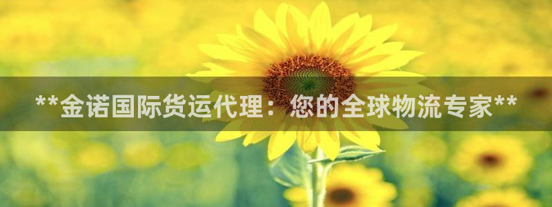 尊龙凯时官网正规吗：**金诺国际货运代理：您的全球物流专