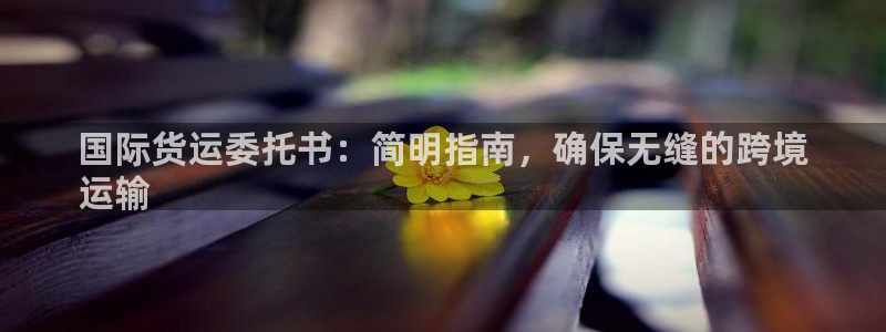z6尊龙凯时旗：国际货运委托书：简明指南，确保无缝的跨境