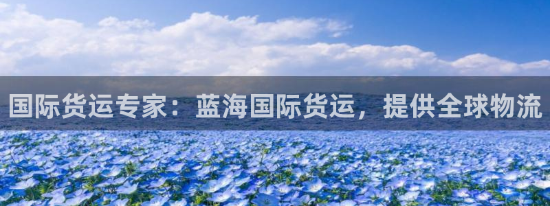 z6com尊龙凯时代理：国际货运专家：蓝海国际货运，提供