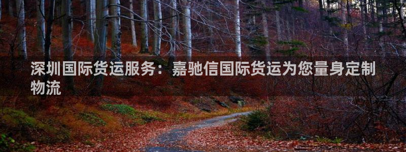 尊龙人生就是搏：深圳国际货运服务：嘉驰信国际货运为您量身