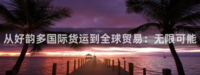 尊龙凯时人生就是搏官：从好韵多国际货运到全球贸易：无限可