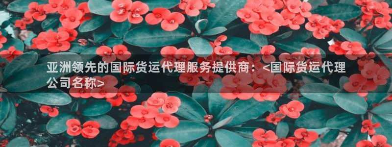 尊龙凯时人生就是博中国官网：亚洲领先的国际货运代理服务提