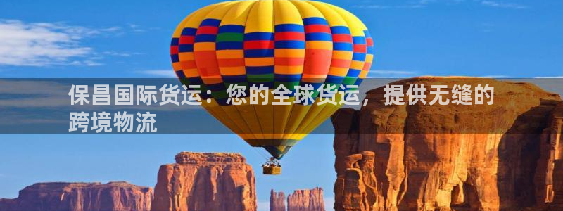 尊龙现金：保昌国际货运：您的全球货运，提供无缝的
跨境物