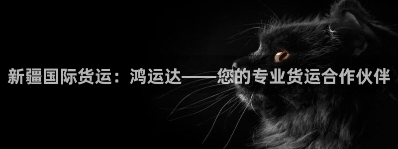 尊龙凯时老板是谁：新疆国际货运：鸿运达——您的专业货运合