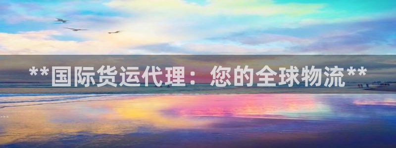 尊龙凯时福米推荐人：**国际货运代理：您的全球物流**