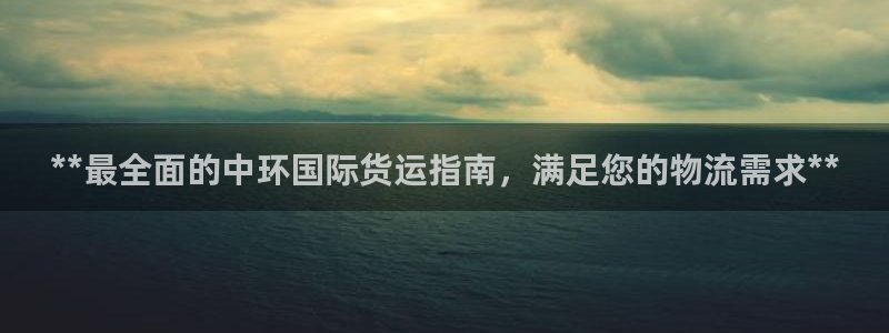 尊龙z6官网：**最全面的中环国际货运指南，满足您的物流