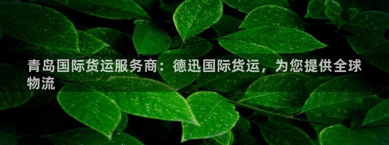 尊龙凯时网站怎么样：青岛国际货运服务商：德迅国际货运，为