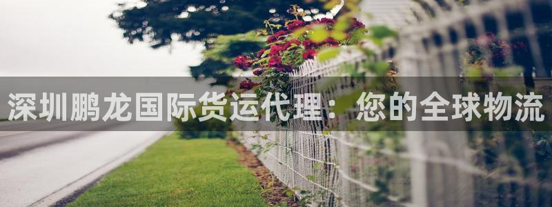 尊龙现金d88：深圳鹏龙国际货运代理：您的全球物流
