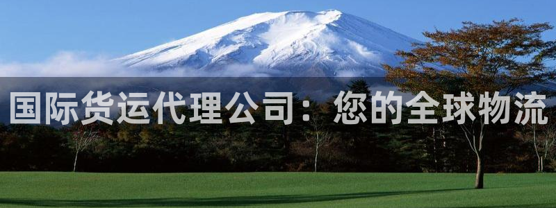 尊龙ag旗舰厅官网登录：国际货运代理公司：您的全球物流