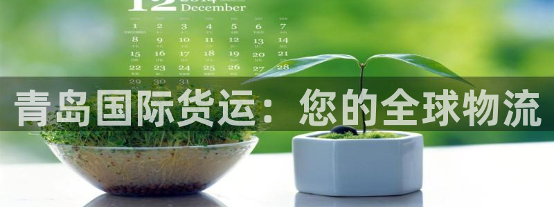 尊龙人生就是博旧版现：青岛国际货运：您的全球物流