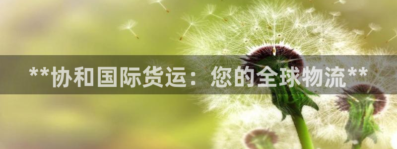 尊龙凯时出款：**协和国际货运：您的全球物流**