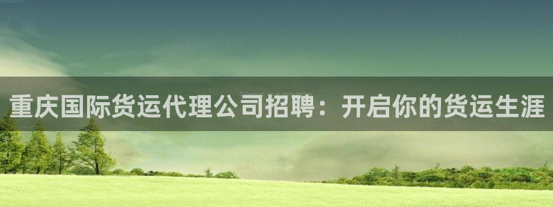 尊龙休闲e站怎么样：重庆国际货运代理公司招聘：开启你的货