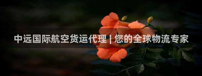尊龙-人生就是博：中远国际航空货运代理 | 您的全球物流