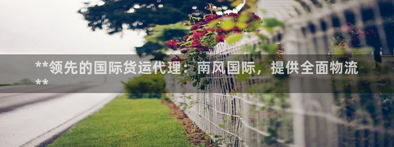 尊龙凯时官网正规吗：**领先的国际货运代理：南风国际，提
