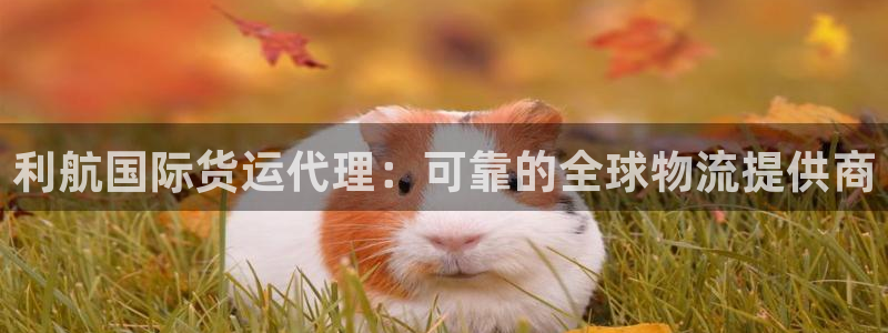 ag旗舰平台尊龙代言：利航国际货运代理：可靠的全球物流提