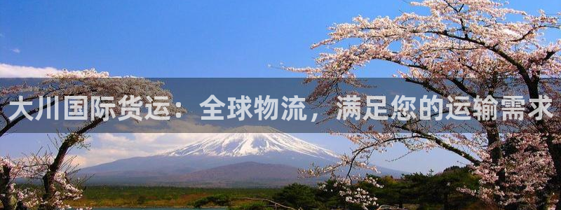 尊龙人生就是博管网：大川国际货运：全球物流，满足您的运输