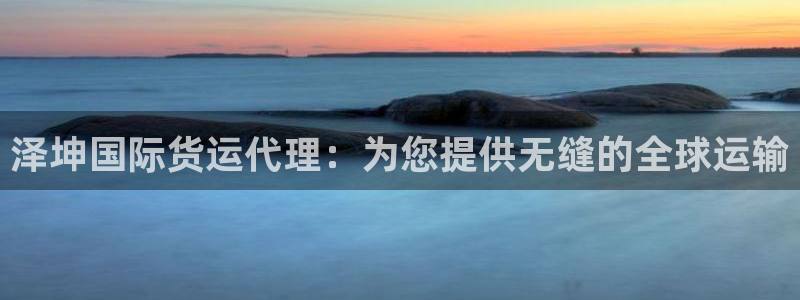 尊龙目前照片：泽坤国际货运代理：为您提供无缝的全球运输